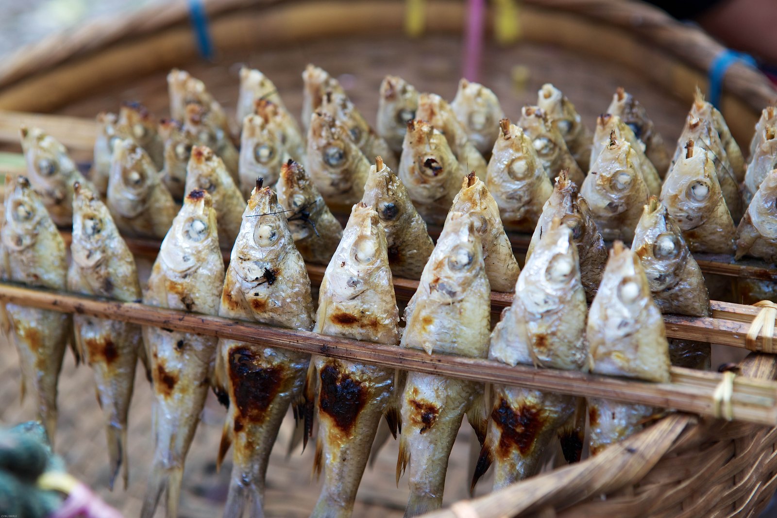 Luang Prabang Bike, Trek, Kayak, & Culture Explorer 2 Days